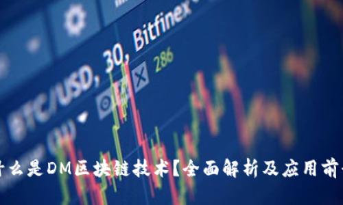 什么是DM区块链技术？全面解析及应用前景