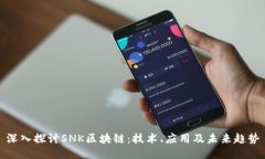 深入探讨SNK区块链：技术