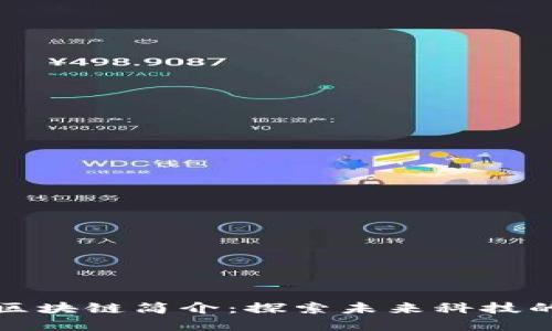 新兴区块链简介：探索未来科技的基础