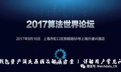 TP钱包资产消失原因及解决方案 | 详解用户常见问题