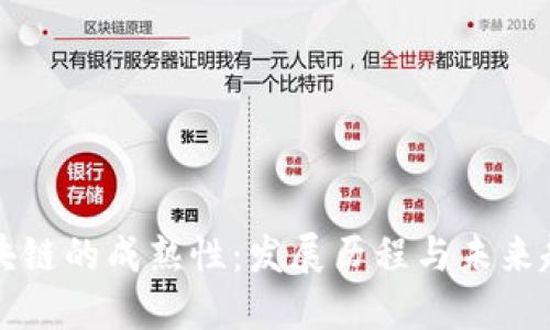 区块链的成熟性：发展历程与未来趋势
