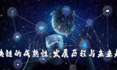 区块链的成熟性：发展历