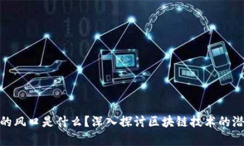 : 区块链真正的风口是什么？深入探讨区块链技术的潜力与发展方向