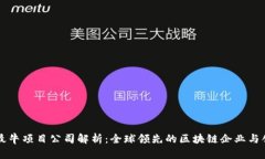 区块链最牛项目公司解析