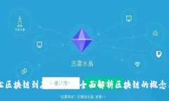 br高晓松区块链到底是什么