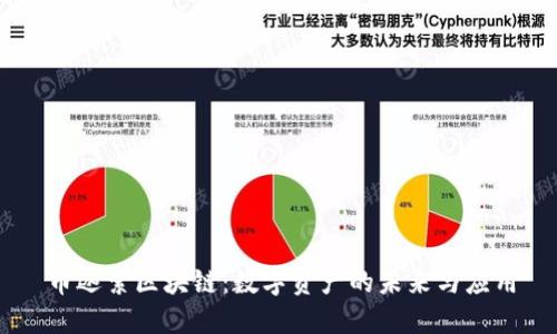 币迦索区块链：数字资产的未来与应用