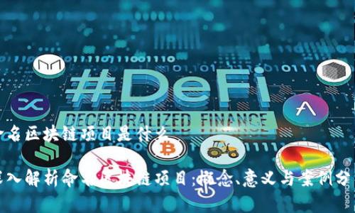 命名区块链项目是什么

深入解析命名区块链项目：概念、意义与案例分析