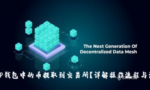 如何将TP钱包中的币提取到交易所?详解操作流程与注意事项