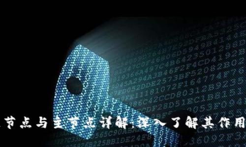 区块链节点与主节点详解：深入了解其作用与区别