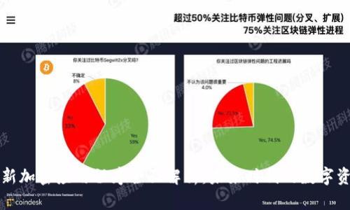 区块链新加密应用程序全面解析：未来时代的数字资产管理