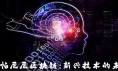 深入解析帕尼尼区块链：