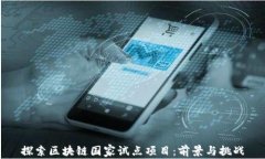 探索区块链国家试点项目：前景与挑战