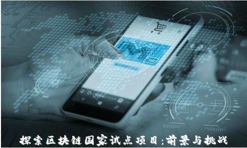 
探索区块链国家试点项目：前景与挑战