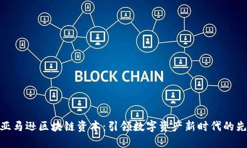 : 亚马逊区块链资本：引领数字资产新时代的先锋