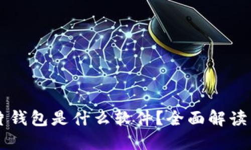 区块链芯片钱包是什么软件？全面解读与未来展望