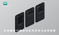 全面解析TP域名的使用方法与应用场景
