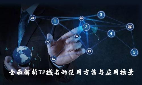 全面解析TP域名的使用方法与应用场景