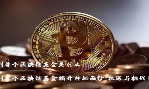 深圳首个区块链基金是什么

深圳首个区块链基金揭开神秘面纱：机遇与挑战并存
