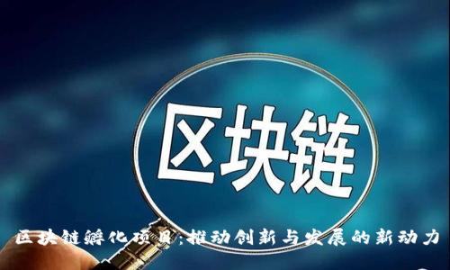 区块链孵化项目：推动创新与发展的新动力
