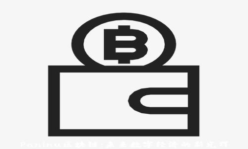 
Paninu区块链：未来数字经济的新光辉