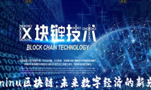 
Paninu区块链：未来数字经济的新光辉