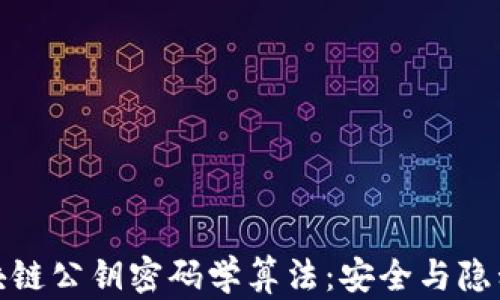 探秘区块链公钥密码学算法:安全与隐私的基石