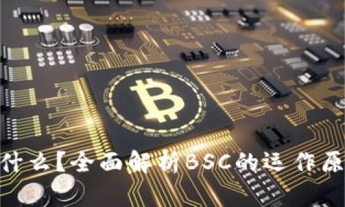 区块链BSC是什么？全面解析BSC的运作原理与应用前景
