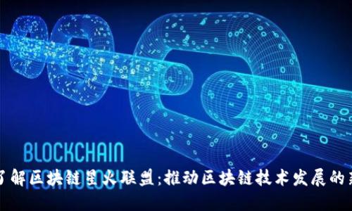 深入了解区块链星火联盟：推动区块链技术发展的新力量