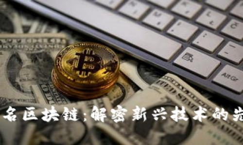 自动签名区块链：解密新兴技术的先锋公司