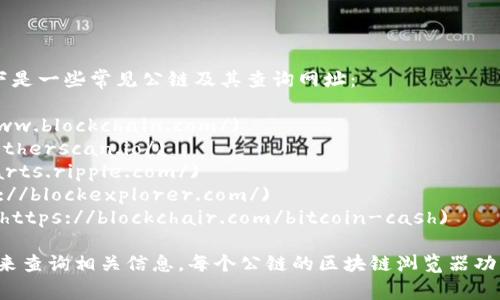区块链公链的查询网址通常取决于特定的区块链网络。以下是一些常见公链及其查询网址：

1. **比特币 (Bitcoin)**: [Blockchain.com](https://www.blockchain.com/)
2. **以太坊 (Ethereum)**: [Etherscan.io](https://etherscan.io/)
3. **瑞波币 (Ripple)**: [XRP Charts](https://xrpcharts.ripple.com/)
4. **莱特币 (Litecoin)**: [BlockExplorer.com](https://blockexplorer.com/)
5. **比特币现金 (Bitcoin Cash)**: [Blockchair.com](https://blockchair.com/bitcoin-cash)

你可以通过访问这些网站，输入交易哈希、地址或区块号码来查询相关信息。每个公链的区块链浏览器功能略有不同，但基本上都能提供交易历史、余额查询等功能。