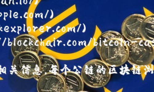 区块链公链的查询网址通常取决于特定的区块链网络。以下是一些常见公链及其查询网址：

1. **比特币 (Bitcoin)**: [Blockchain.com](https://www.blockchain.com/)
2. **以太坊 (Ethereum)**: [Etherscan.io](https://etherscan.io/)
3. **瑞波币 (Ripple)**: [XRP Charts](https://xrpcharts.ripple.com/)
4. **莱特币 (Litecoin)**: [BlockExplorer.com](https://blockexplorer.com/)
5. **比特币现金 (Bitcoin Cash)**: [Blockchair.com](https://blockchair.com/bitcoin-cash)

你可以通过访问这些网站，输入交易哈希、地址或区块号码来查询相关信息。每个公链的区块链浏览器功能略有不同，但基本上都能提供交易历史、余额查询等功能。