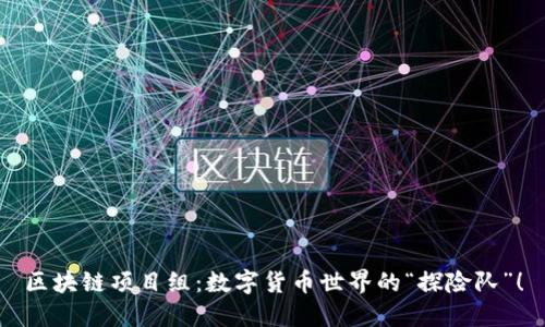 区块链项目组：数字货币世界的“探险队”！