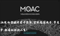 区块链中的庞氏骗局（P