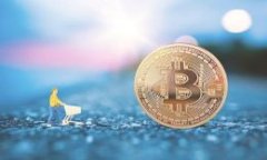 在讨论tpwallet是否可以转移