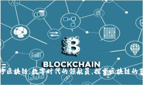 维珍区块链：数字时代的领航员，探索区块链的蓝海