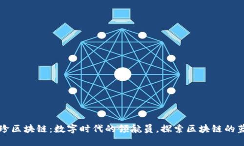 维珍区块链：数字时代的领航员，探索区块链的蓝海