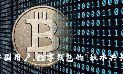 TPWallet：年底禁止中国用户，数字钱包的“秋水共长天”还是“愁云惨淡”？