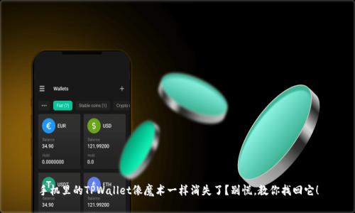 手机里的TPWallet像魔术一样消失了？别慌，教你找回它！