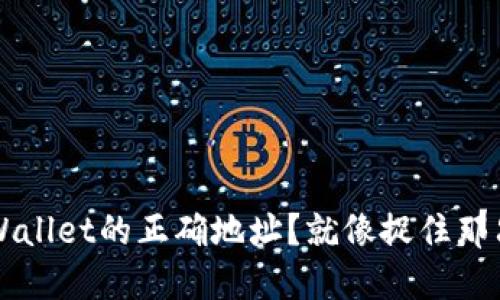 如何精准捕捉TPWallet的正确地址？就像捉住那只 elusive 蝴蝶！