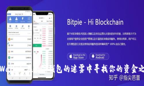 TPWallet：在数字钱包的迷雾中寻找你的资金之光