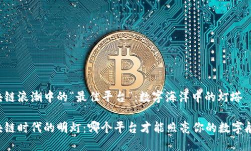 区块链浪潮中的“最佳平台”：数字海洋中的灯塔

区块链时代的明灯：哪个平台才能照亮你的数字航路？