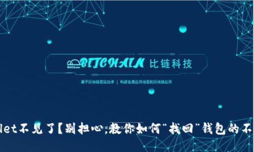 TPWallet不见了？别担心，教你如何“找回”钱包的不二法门