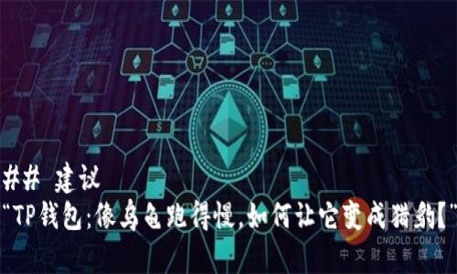 ## 建议
“TP钱包：像乌龟跑得慢，如何让它变成猎豹？”