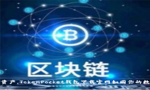 轻松掌控数字资产，TokenPocket钱包下载官网如同你的数字资产护航者