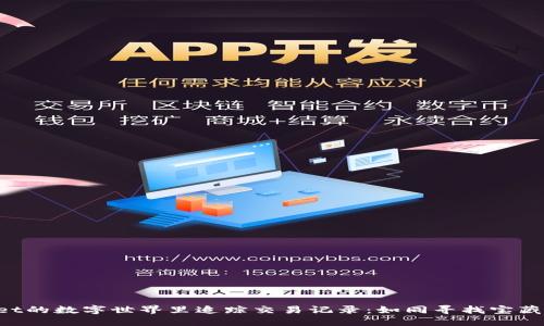 在TPWallet的数字世界里追踪交易记录：如同寻找宝藏的探险者！