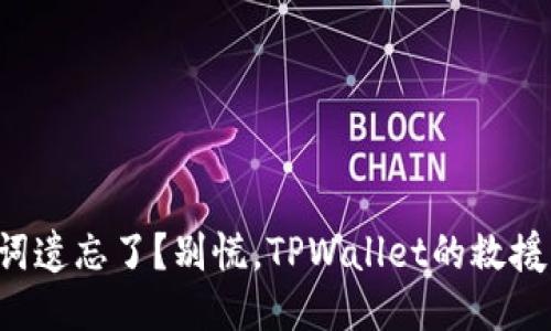 助记词遗忘了？别慌，TPWallet的救援指南！