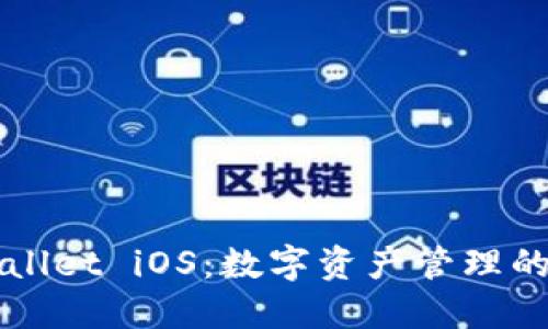 探索TPWallet iOS：数字资产管理的新航海图
