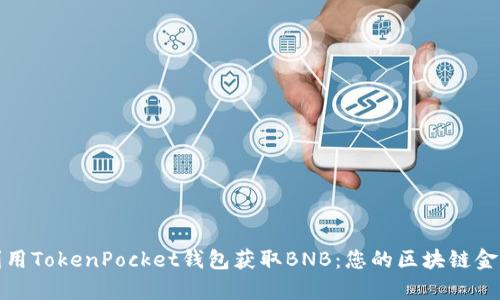 如何利用TokenPocket钱包获取BNB：您的区块链金库之旅