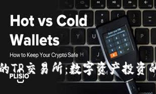 TP钱包的TP交易所：数字资产投资的万花筒