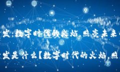 区块链技术开发：数字时代的火焰，照亮未来的